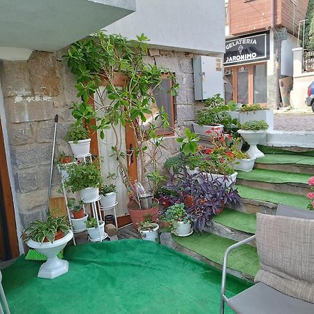 Farlalievi Guest House 索佐波尔 外观 照片