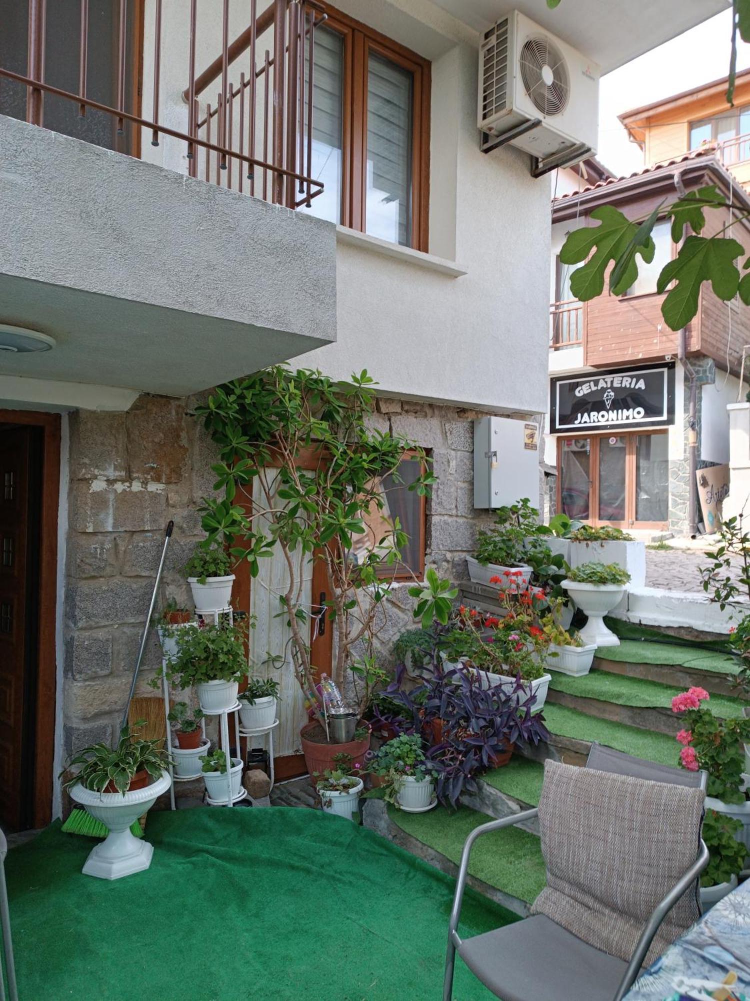 Farlalievi Guest House 索佐波尔 外观 照片